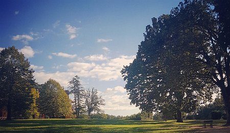 bosco di San Martino
