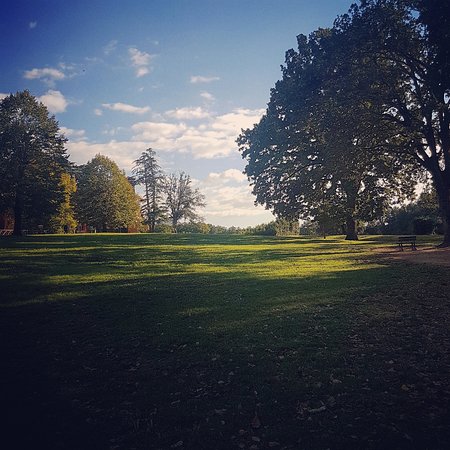 bosco-san-martino-priverno bosco di San Martino