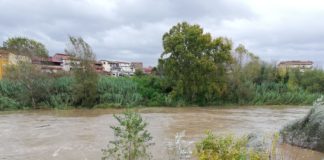 consorzi di bonifica