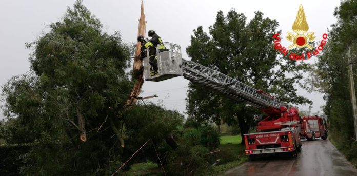 vigili-del-fuoco-alberi-caduti
