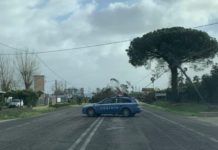 Albero si abbatte su un’auto, tragedia sfiorata sulla Pontina