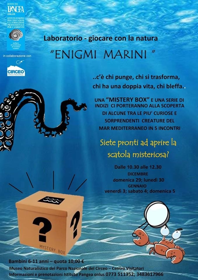 Enigmi marini locandina