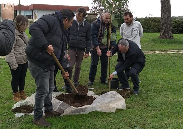 IMG_20191220_115737 - Copia