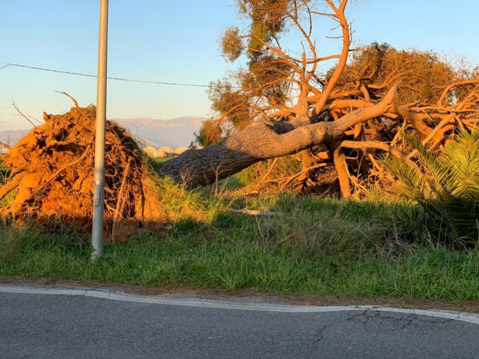 ae4a136d-1162-4b34-a7fb-c44bb3af6c6d