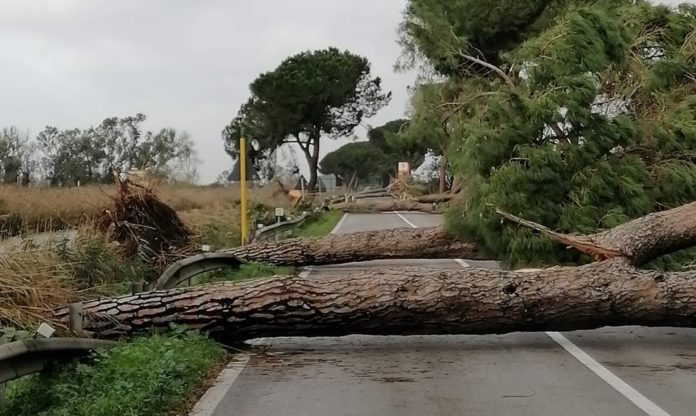 b037e68a-c306-443a-8ad4-3f9d2e846a0f - Copia