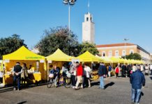 Lenticchie di Ventotene e altre specialità pontine per il cenone di fine anno