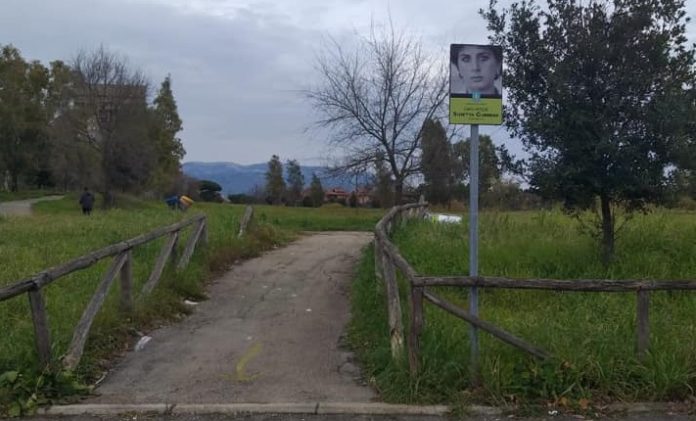 82451041_10221425511657786_1587822819188670464_n