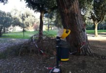 Latina, CasaPound fotografa la “selva oscura” del parco Falcone-Borsellino