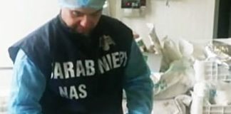 Cisterna, chiuso caseificio. Gestore ignora il provvedimento: denunciato chiuso caseificio