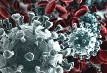 Coronavirus, sale la curva dei contagi: +245. Cinque i morti in 24 ore