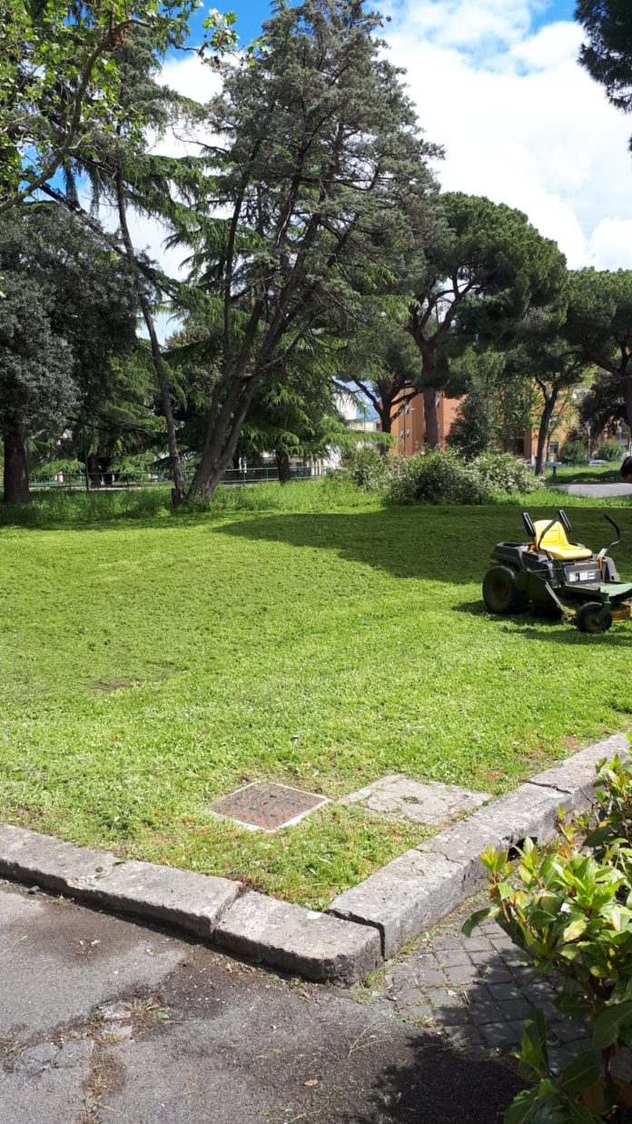 parco-falcone-borsellino (1) taglio dell'erba