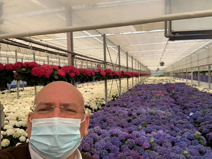 Adinolfi-florovivaismo