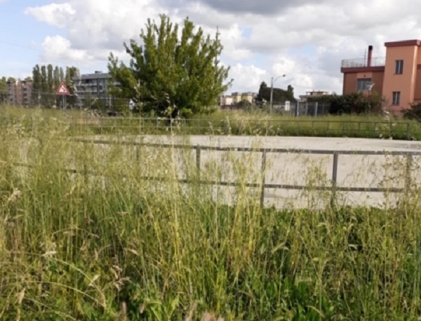 parco-Faustinella-Latina-Scalo