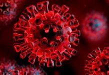 Coronavirus: 120 nuovi casi positivi e 4 morti, ma 150 guariti