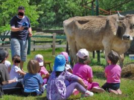 outdoor education