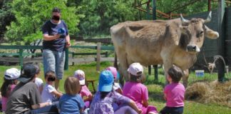 Piano infanzia, 3 milioni dalla Regione per progetti di outdoor education outdoor education