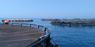 Gaeta, Formiaé su impianti di itticoltura: “Dalle istituzioni serve chiarezza”