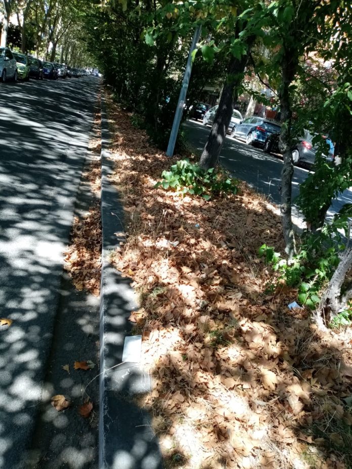 1595934887014_Viale_Petrarca_3