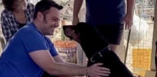 Nel cuore grande di Tiziano Ferro c’è spazio per un altro cane: si chiama Jake