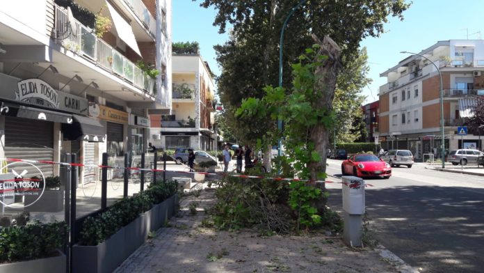 ramo-caduto-via-Cesare-Augusto