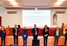 Camera di commercio operativa, nuovo statuto e regolamenti interni