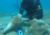 San Felice, iniziata la catalogazione dei reperti trovati in mare