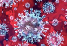 Covid, 66 nuovi contagi e un altro decesso nelle ultime 24 ore