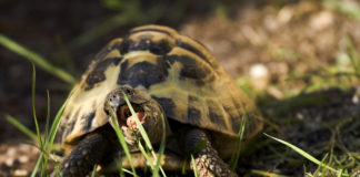 Racconti di Sabaudia 2021, fotografia in concorso