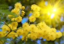 Alla ASL di Latina il convegno per la Giornata della Donna