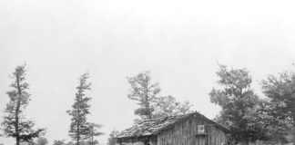 Progetto “Agro Sonoro”, quando la formazione diventa scoperta visuale del territorio