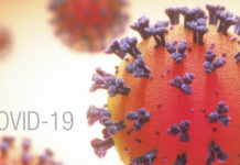 Covid, 25 nuovi contagi nelle ultime 24 ore in provincia