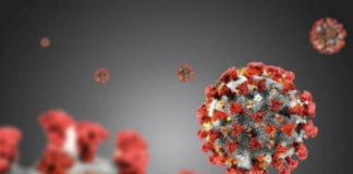 Covid, 118 nuovi casi nelle ultime 24 ore. Nessun decesso