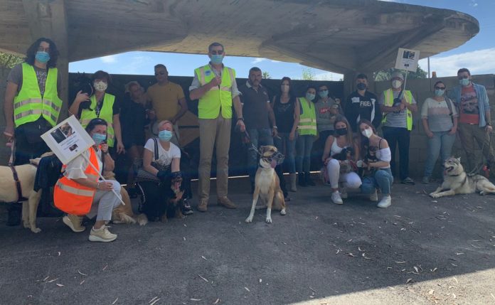 abbaiamo per birillo 1