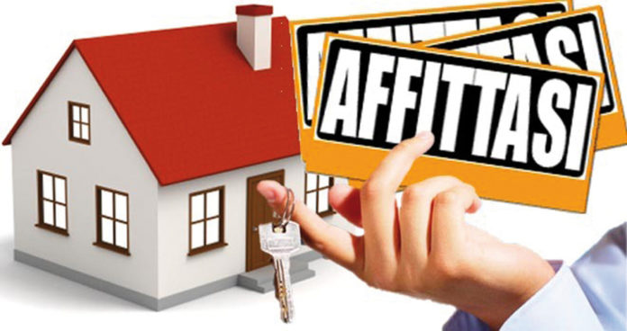 affittasi