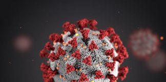 Covid, in provincia 40 nuovi casi e un decesso nelle ultime 24 ore