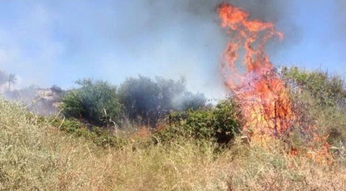 WhatsApp Image 2021-06-22 at 10.40.46