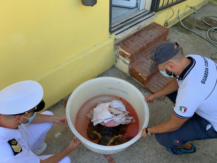 5DB9C098-64FE-4B18-AE2B-A935B626CD90