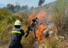 Fondi, emergenza incendi: l’intervento del sindaco Maschietto