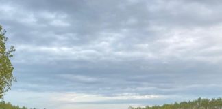 Greenchange, sopralluoghi in tre cantieri aperti per la riqualificazione ambientale