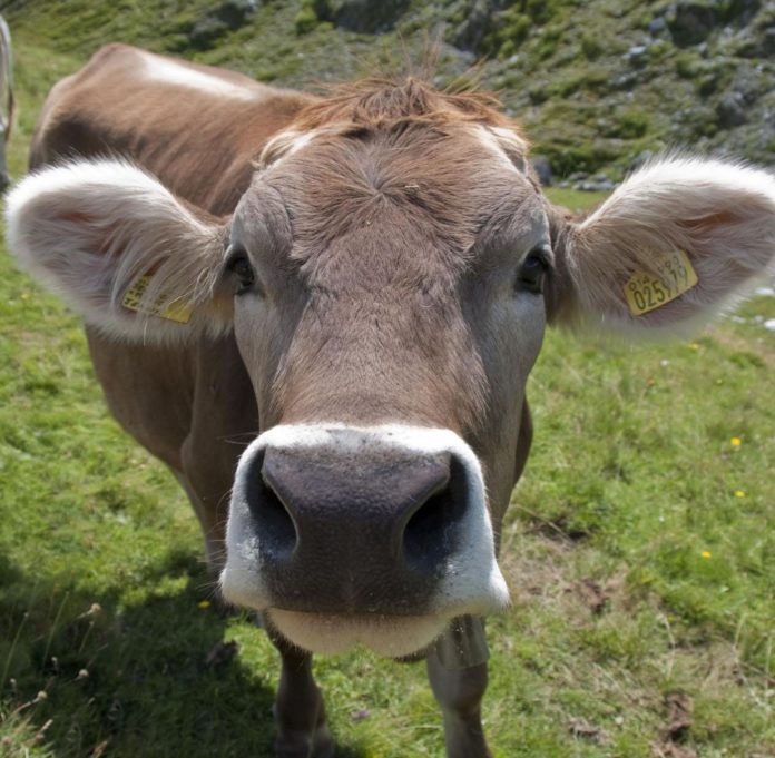 C906AE8D-3EDB-41BB-B16F-DDC3D32133DC