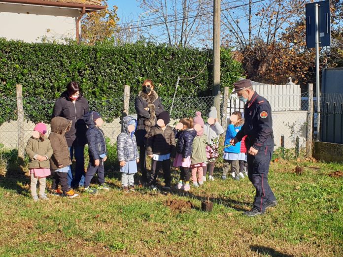 Un albero per il futuro 1