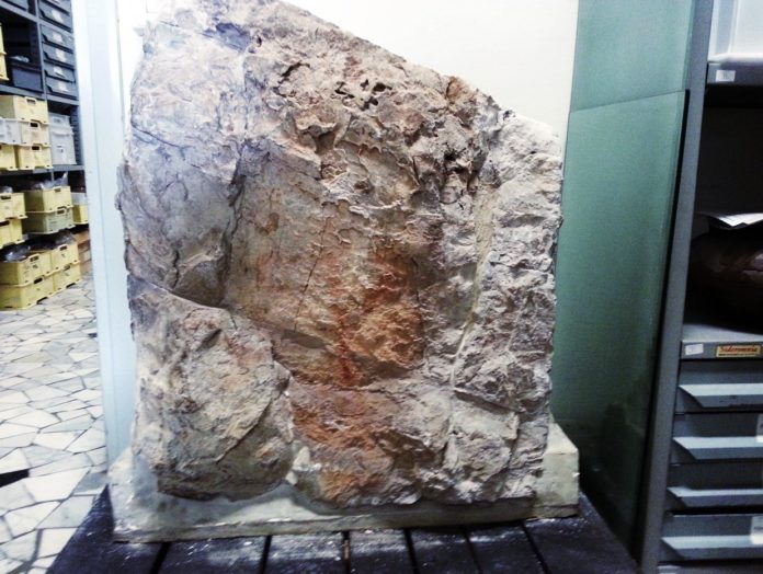 Schermata 2022-04-01 alle 10.57.02