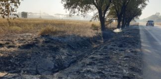 Incendio a Sezze, disagi e chiusura lungo la statale dei Monti Lepini