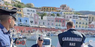 Isole pontine, controlli e 24 sanzioni dei Nas