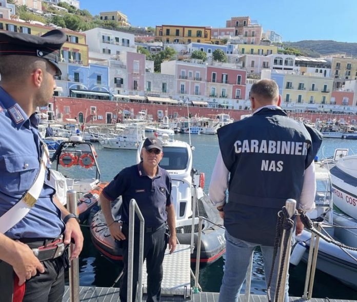 21211BE1-8FD9-4773-BA4A-9EDDBF09FBDE