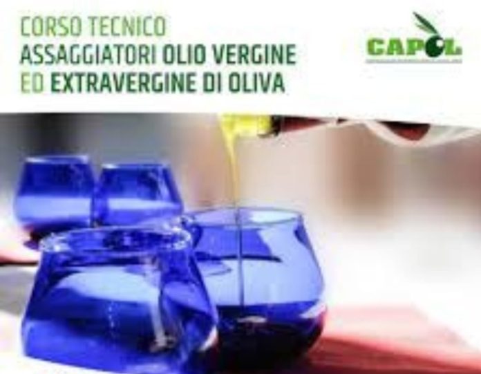 assaggiatori olio di oliva