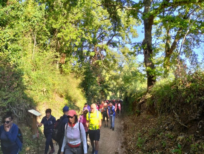 Cisterna-Fiera della Ricalata