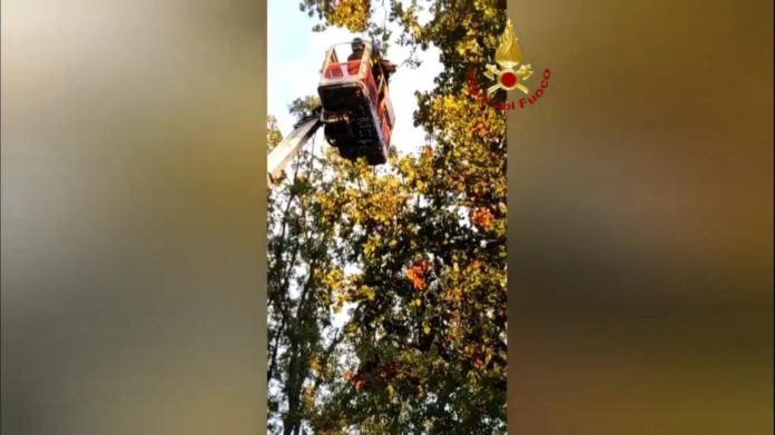 WhatsApp Image 2022-11-09 at 09.44.24