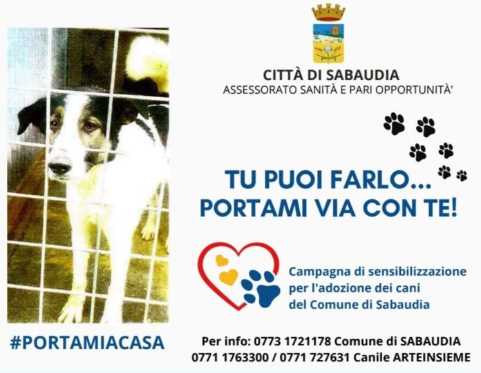 WhatsApp Image 2022-11-11 at 11.35.32