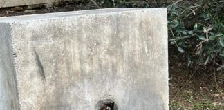 Sabaudia, fontana danneggiata: scoperti i responsabili